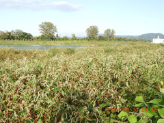 DSCN9955.JPG