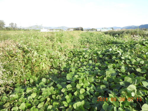 DSCN9952.JPG