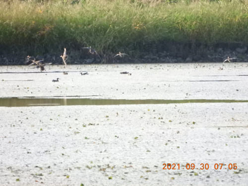 DSCN9937.JPG