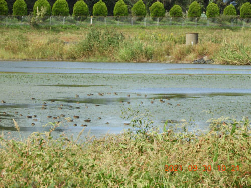 DSCN9998.JPG