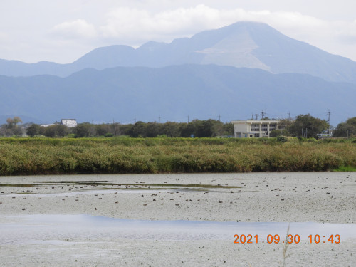 DSCN0006.JPG
