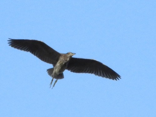 RSCN0015.JPG
