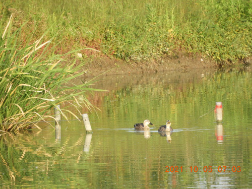 DSCN0036.JPG