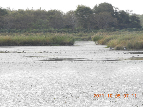 DSCN0043.JPG