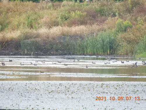 DSCN0044.JPG