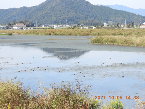 DSCN0056.JPG