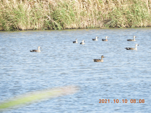 DSCN0063.JPG