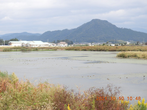 DSCN0077.JPG