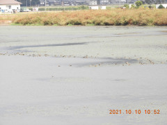 DSCN0083.JPG