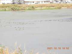 DSCN0084.JPG