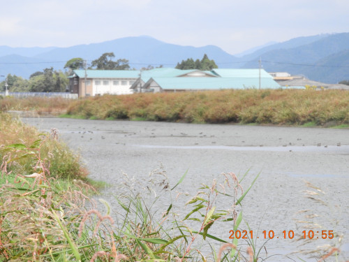 DSCN0085.JPG