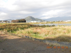 DSCN0093.JPG