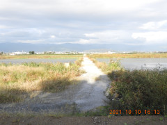 DSCN0094.JPG