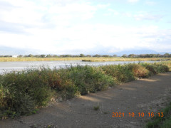 DSCN0095.JPG