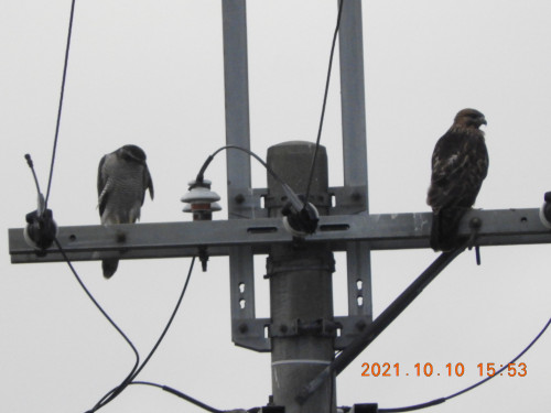 DSCN0091.JPG