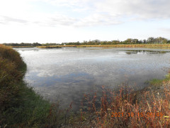 DSCN0106.JPG