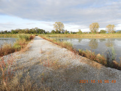 DSCN0107.JPG
