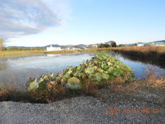 DSCN0108.JPG
