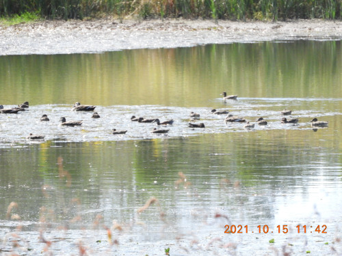 DSCN0114.JPG