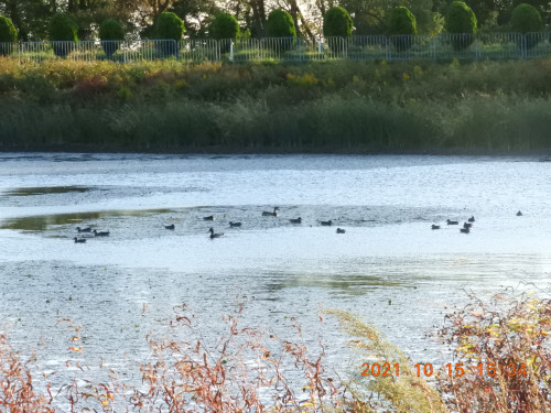 DSCN0115.JPG