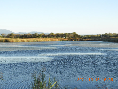 DSCN0116.JPG