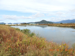 DSCN0023.JPG