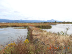 DSCN0024.JPG