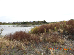 DSCN0025.JPG