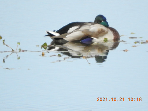 DSCN0026.JPG