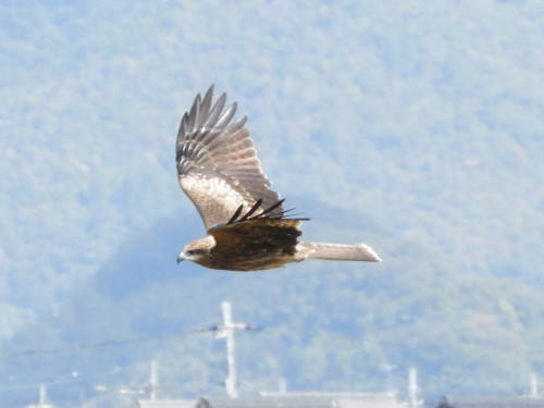 RSCN0004.JPG