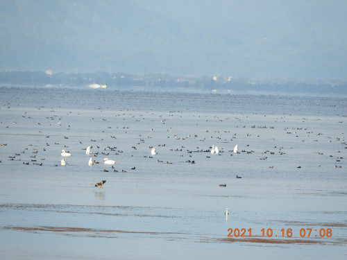 DSCN0139.JPG