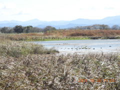 DSCN0107.JPG