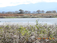 DSCN0108.JPG