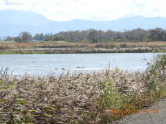 DSCN0109.JPG