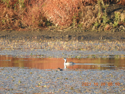 DSCN0054.JPG