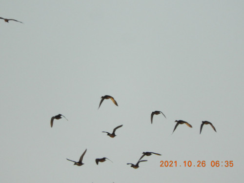 DSCN0045.JPG