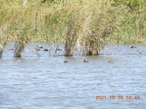 DSCN0093.JPG