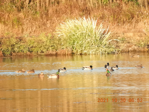 DSCN0115.JPG