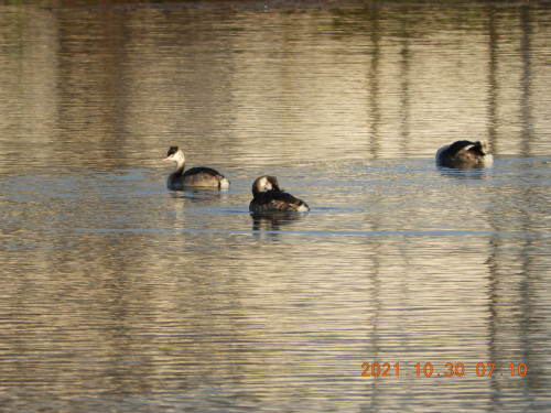 DSCN0133.JPG