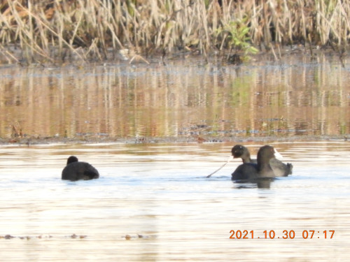 DSCN0138.JPG