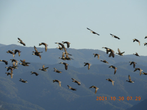 DSCN0157.JPG