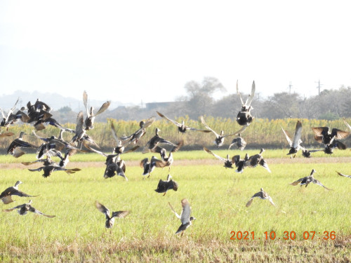 DSCN0198.JPG