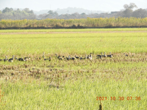 DSCN0196.JPG
