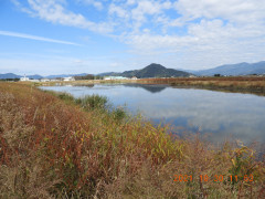 DSCN0241.JPG