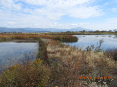 DSCN0242.JPG