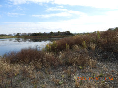 DSCN0243.JPG