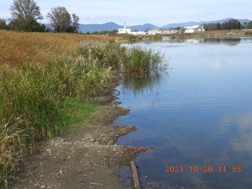 DSCN0250.JPG