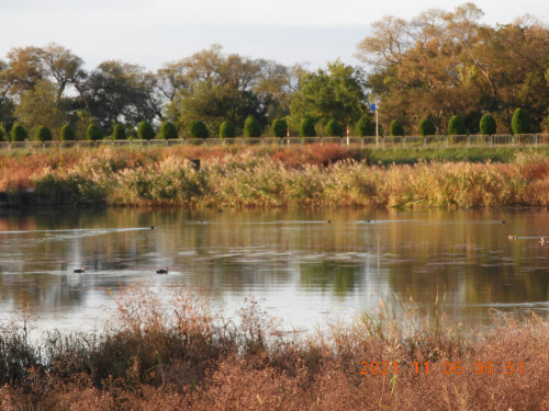 DSCN9977.JPG