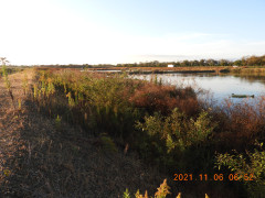 DSCN9979.JPG