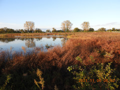 DSCN9980.JPG